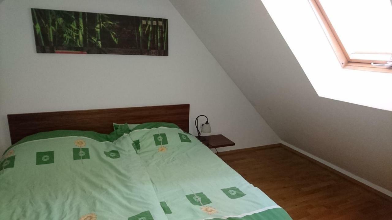 Вілла Apartma Geoteh Terme Catez 6032 Кршко Екстер'єр фото